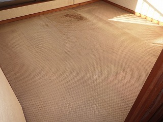 リフォーム前のじゅうたんの洋室の床
