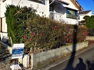 エクステリアのリフォーム前の庭木とブロック塀