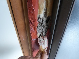 シロアリに食われていた浴室ドアの木枠